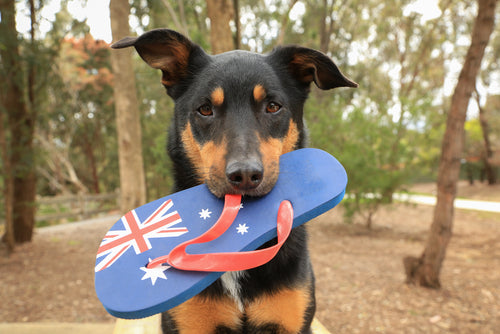 100% Australian Made