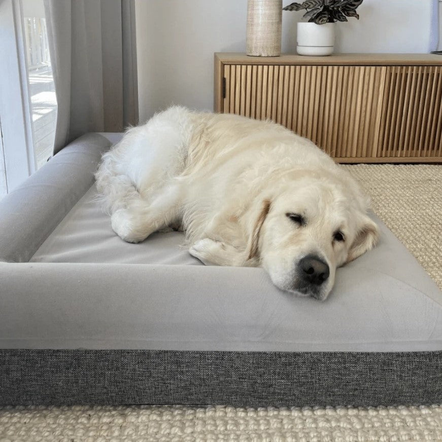 Fur King "Ortho" Orthopedic Dog Bed - XL