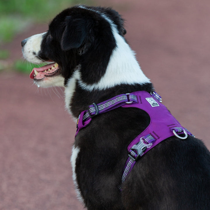 Lightweight 3M reflective Harness - Purple M