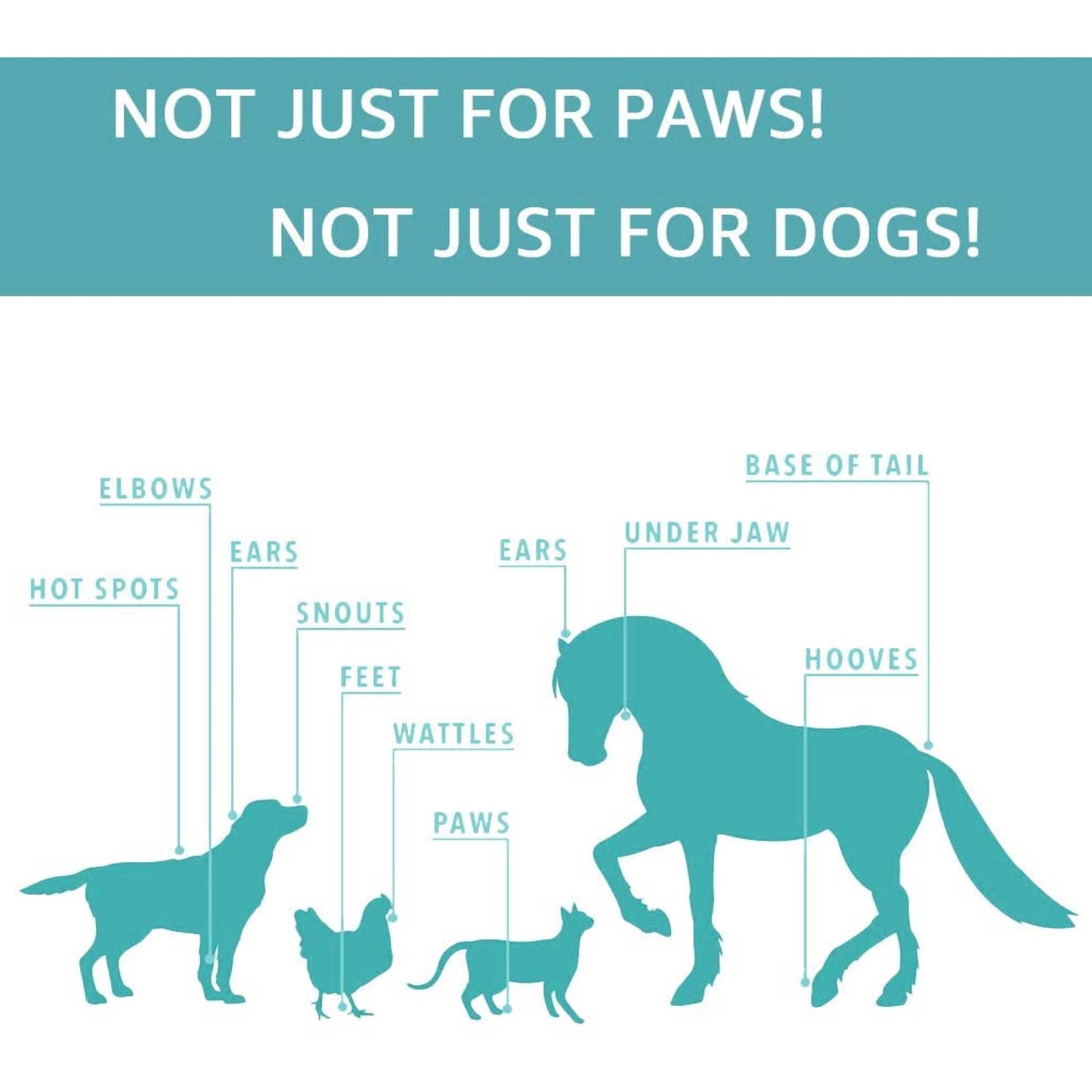 Pet Paw Balm - for Dogs & Cats - 100% Natural